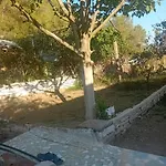 Gimi