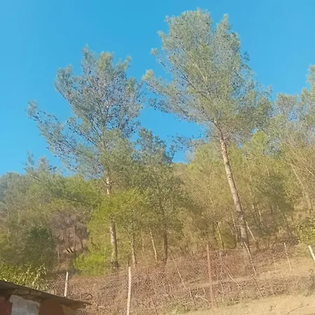 Gimi Vila Gjirokastër