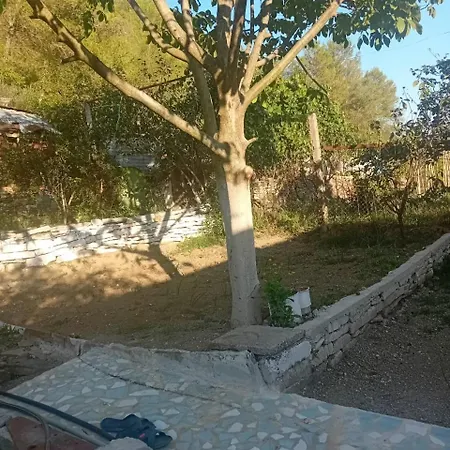 Gimi