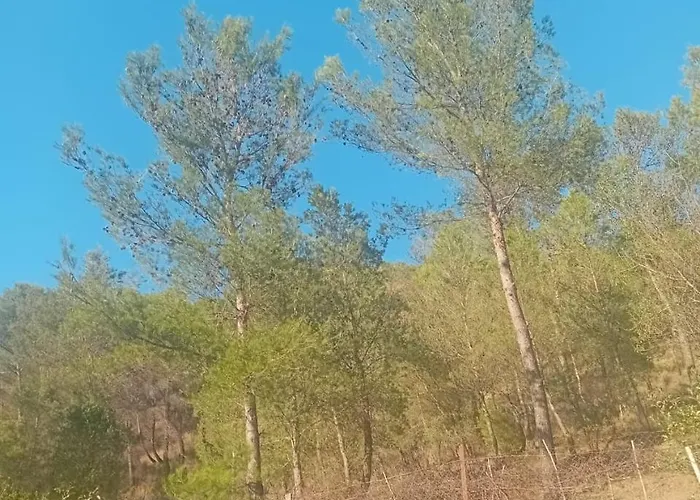 Gimi Villa Gjirokastër